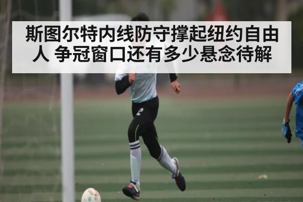 斯图尔特内线防守撑起纽约自由人 争冠窗口还有多少悬念待解